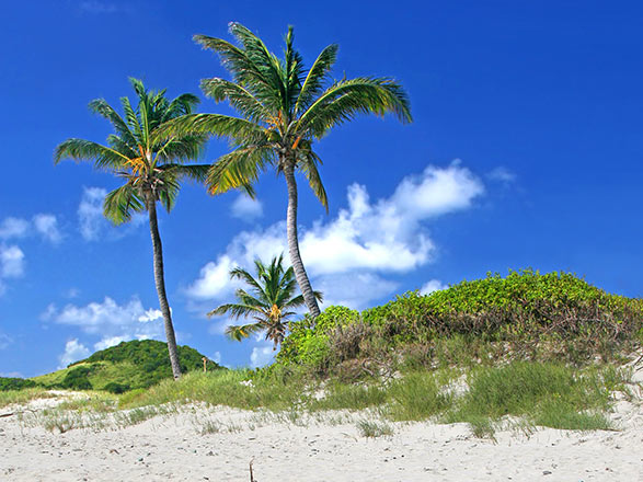 Escale St Vincent et les Grenadines (Kingstown)